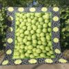 Tennis Ball Quilt Blanket Hm26  Quilt